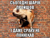 сьогодні шарік пройшов і даже сраку не понюхав