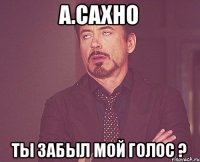 А.Сахно ты забыл мой голос ?