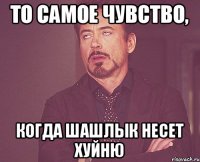 То самое чувство, Когда шашлык несет хуйню