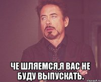  Че шляемся,Я вас не буду выпускать.