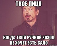 твое лицо когда твой ручной хохол не хочет есть сало