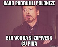 cand padrujili poloneze beu vodka si zapivesk cu piva