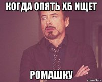 когда опять хб ищет ромашку
