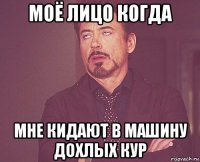 моё лицо когда мне кидают в машину дохлых кур