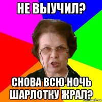 не выучил? снова всю ночь шарлотку жрал?