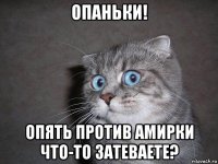 опаньки! опять против амирки что-то затеваете?