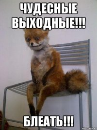 Чудесные выходные!!! Блеать!!!