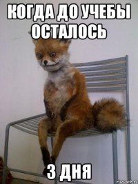 Когда до учебы осталось 3 дня