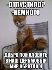 -отпустило? -немного добро пожаловать в наш дерьмовый мир обратно ))