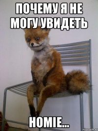 ПОЧЕМУ Я НЕ МОГУ УВИДЕТЬ HOMIE...