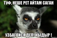 туф, неше рет айтам саган узбагойся деп! кыдыр !