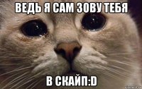 ведь я сам зову тебя в скайп:d