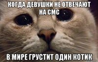 когда девушки не отвечают на смс в мире грустит один котик