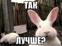 ТАК ЛУЧШЕ?