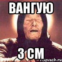 вангую 3 см