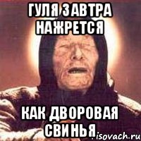 ГУЛЯ ЗАВТРА НАЖРЕТСЯ КАК ДВОРОВАЯ СВИНЬЯ
