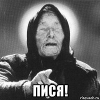  пися!