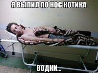 я выпил по нос котика водки...