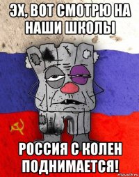 эх, вот смотрю на наши школы россия с колен поднимается!