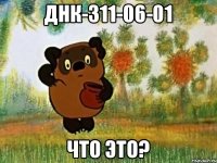 ДНК-311-06-01 Что это?