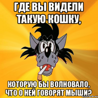 Где вы видели такую кошку, которую бы волновало, что о ней говорят мыши?