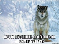  ну что ,рискнешь прогуляться, по зимнему лесу?