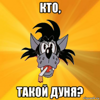 кто, такой дуня?