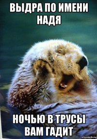 выдра по имени надя ночью в трусы вам гадит