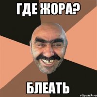 Где жора? Блеать