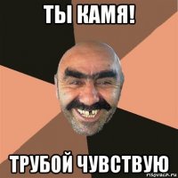 ты камя! трубой чувствую