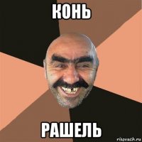 конь рашель