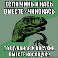 если чинь и кась вместе - чинокась то щуканов и косухин вместе косощук?