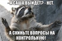 - А Саша выйдет? - Нет. - А скиньте вопросы на контрольную!