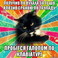 получив по вухаха за те шо ялозив сракою по тачпаду пробiгся галопом по клавiатурi