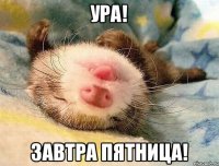 Ура! завтра пятница!