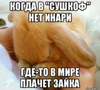 Когда в "Сушкоф" нет инари Где-то в мире плачет зайка