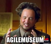  AgileMuseum