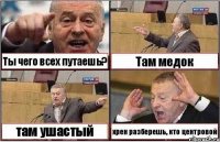 Ты чего всех путаешь? Там медок там ушастый хрен разберешь, кто центровой