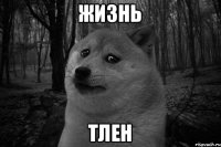 жизнь тлен