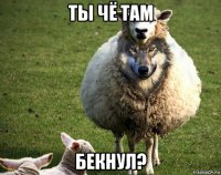 ты чё там бекнул?