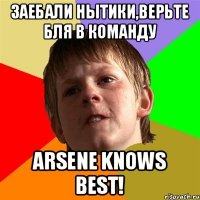 Заебали нытики,верьте бля в команду Arsene knows best!