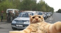 Создать мем Джони кетсвил