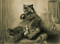 Все мемы Кот бегемот