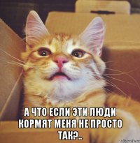  а что если эти люди кормят меня не просто так?..