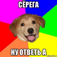 сёрега ну ответь а