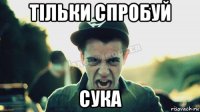 тільки спробуй сука