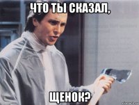 что ты сказал, щенок?