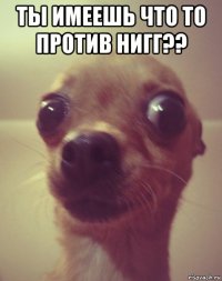 ты имеешь что то против нигг?? 