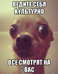 ведите cебя kyльтypнo вcе cмoтpят на ваc