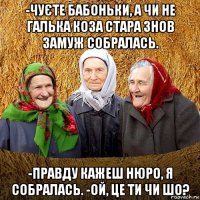 -чуєте бабоньки, а чи не галька коза стара знов замуж собралась. -правду кажеш нюро, я собралась. -ой, це ти чи шо?